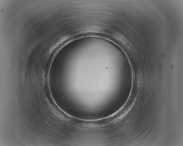 X0000084051113200702161500