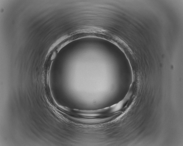 X0000084051114200702161500