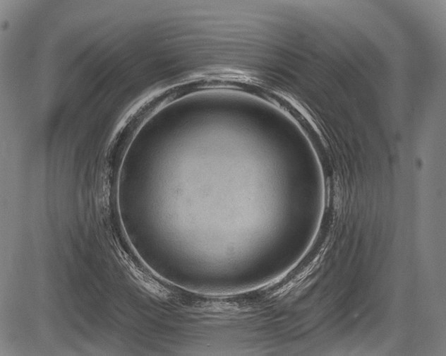 X0000084051115200702161500