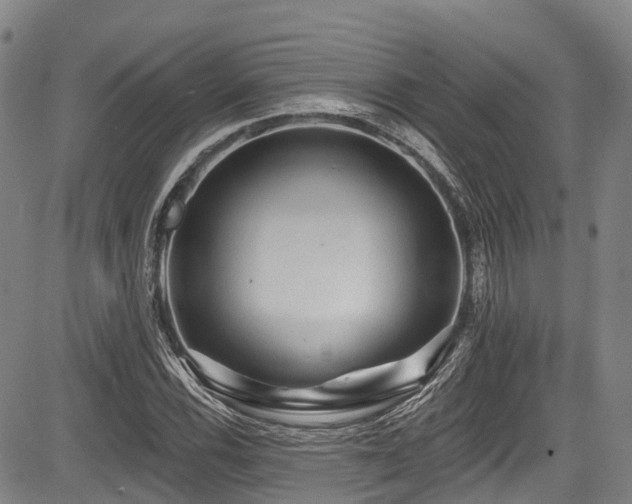 X0000084051116200702161500