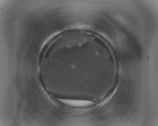 X0000084051117200702161500