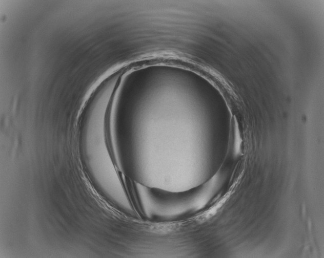 X0000084051118200702161500