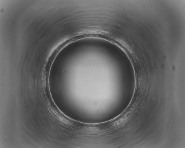 X0000084051119200702161500