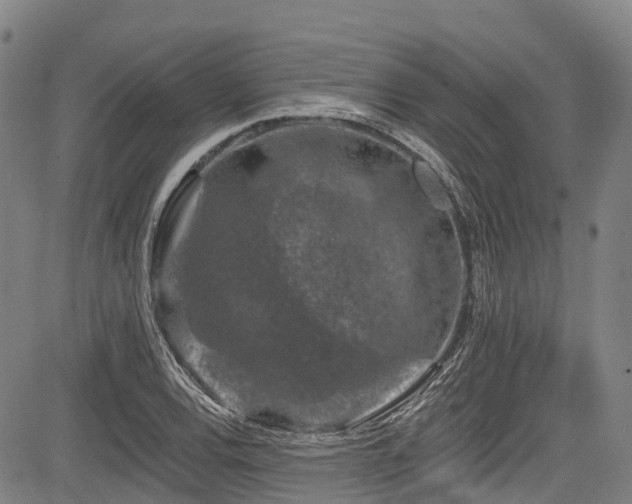 X0000084051120200702161500