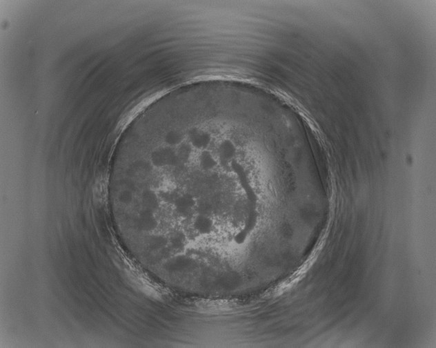 X0000084051121200702161500