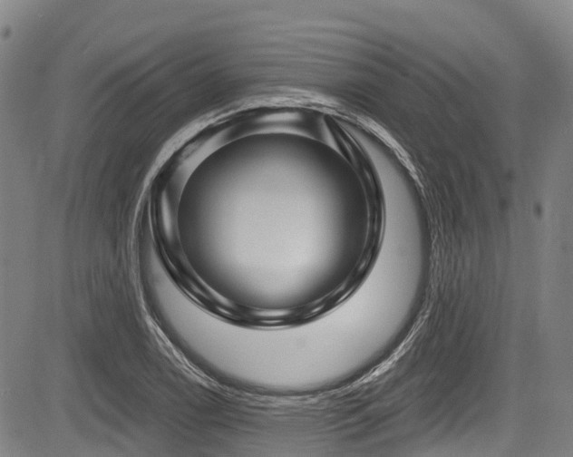 X0000084051122200702161500