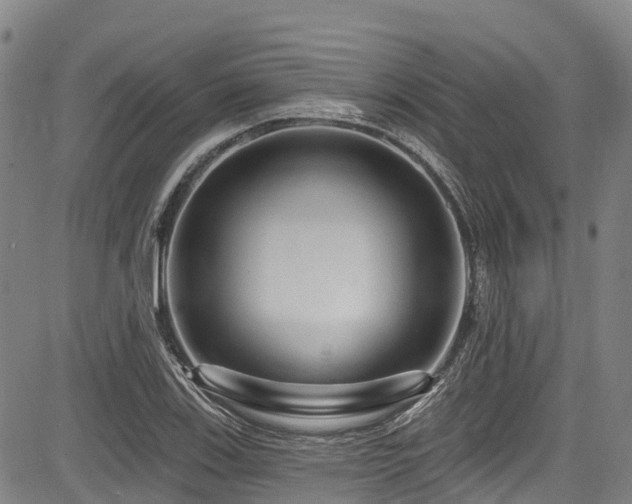 X0000084051123200702161500