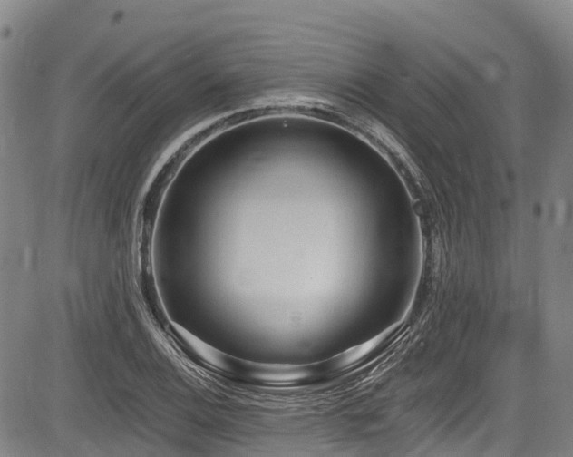 X0000084051124200702161500