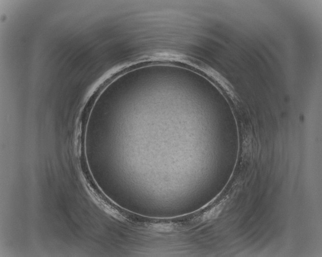 X0000084051126200702161500