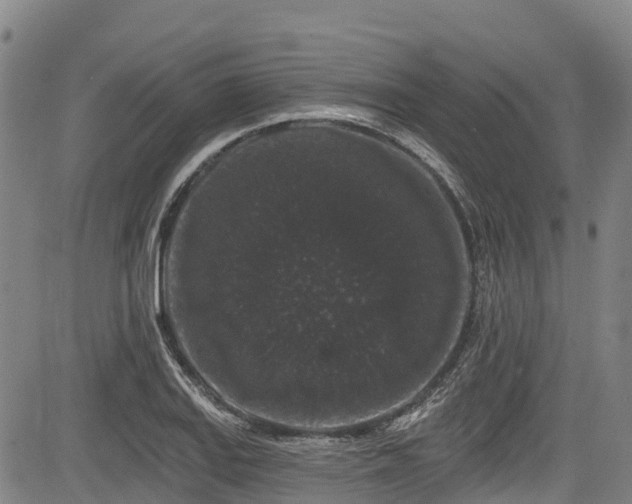 X0000084051127200702161500