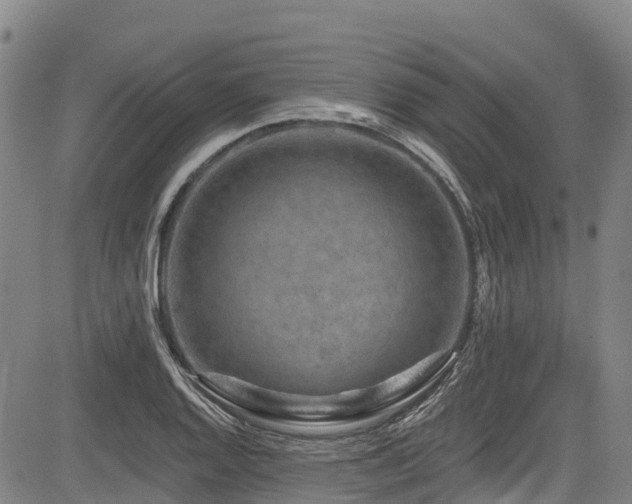 X0000084051128200702161500