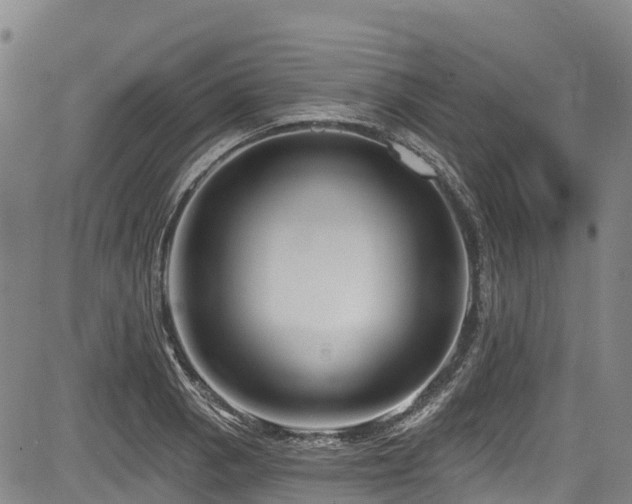 X0000084051129200702161500