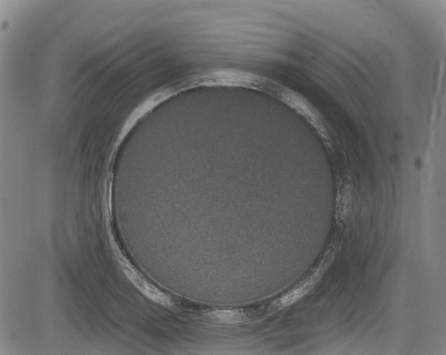 X0000084051130200702161500