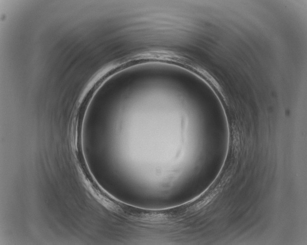 X0000084051131200702161500