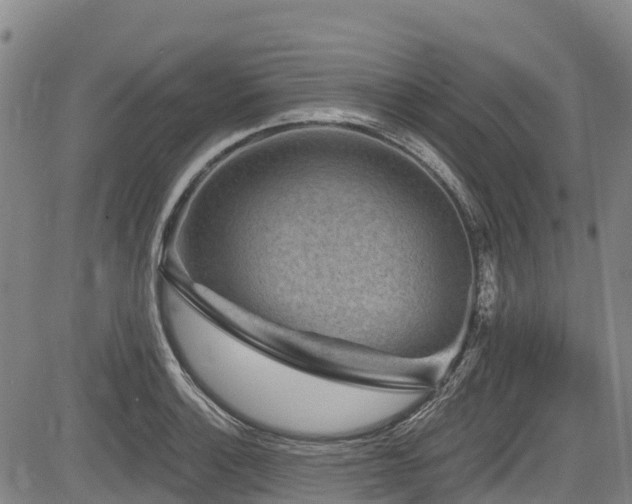 X0000084051132200702161500