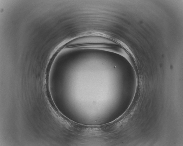 X0000084051133200702161500