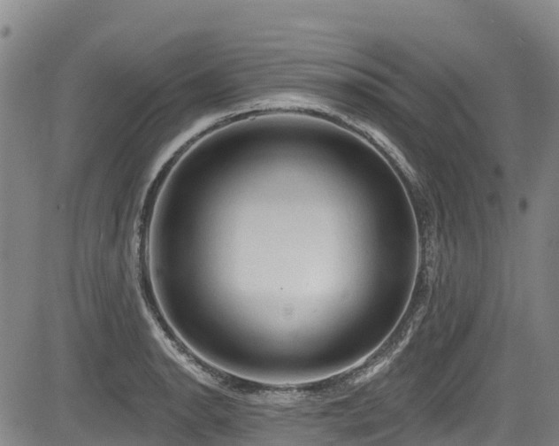 X0000084051134200702161500