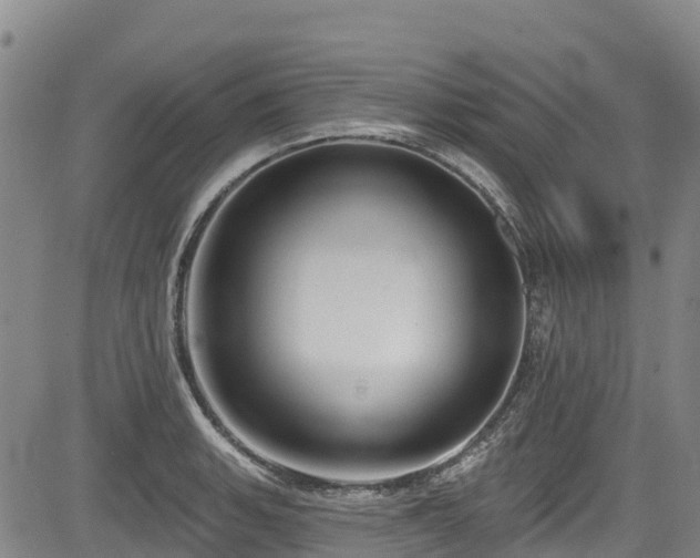 X0000084051135200702161500