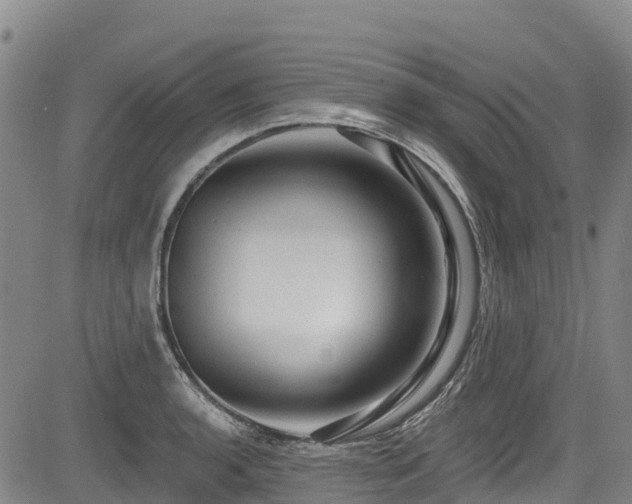 X0000084051136200702161500