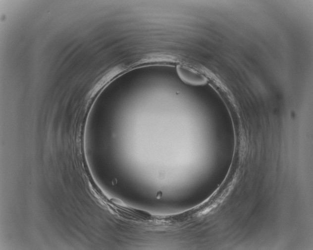 X0000084051137200702161500