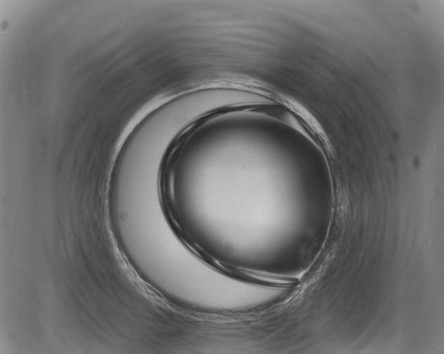 X0000084051138200702161500