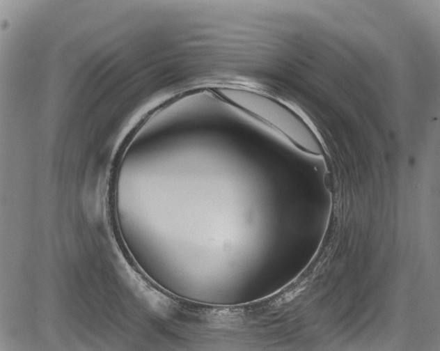 X0000084051139200702161500