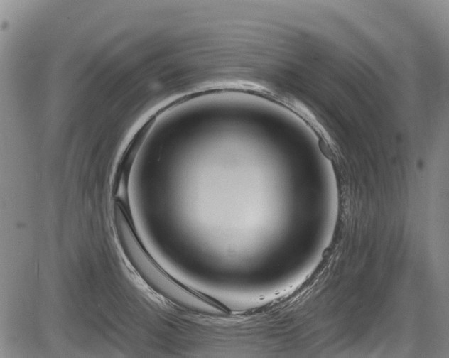 X0000084051140200702161500