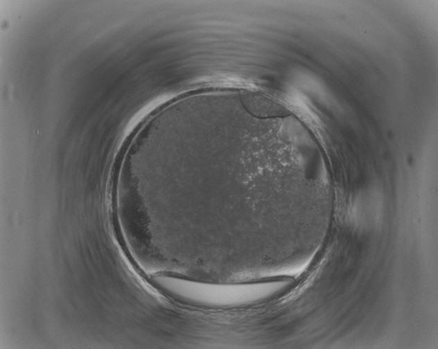 X0000084051141200702161500