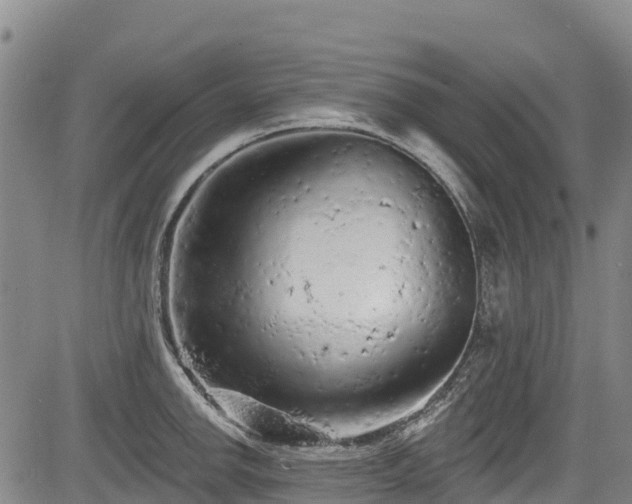 X0000084051142200702161500