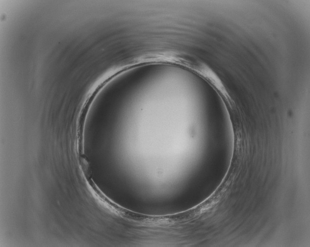 X0000084051143200702161500