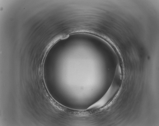 X0000084051145200702161500