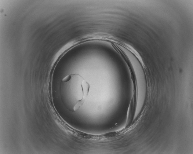 X0000084051146200702161500