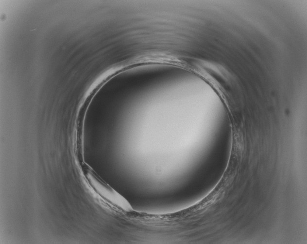 X0000084051147200702161500