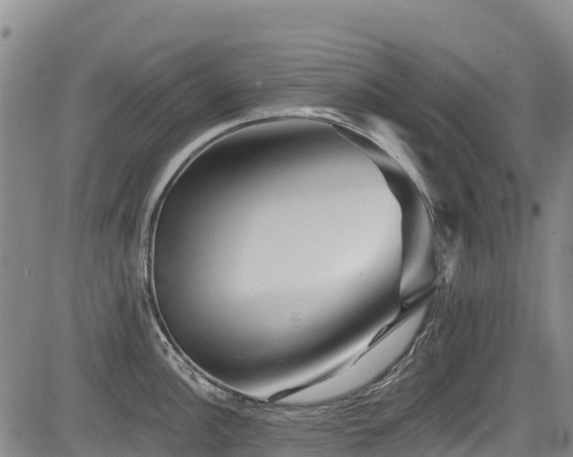 X0000084051148200702161500