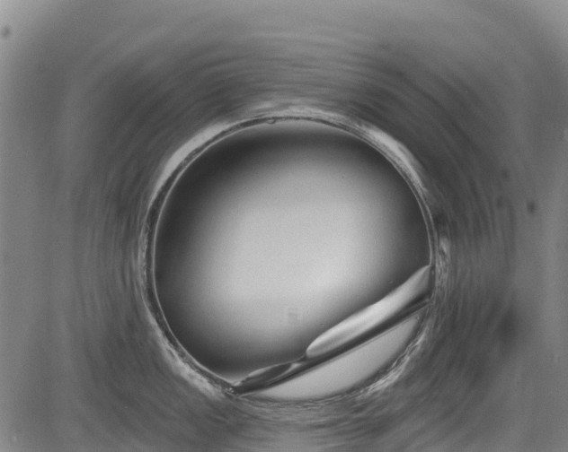 X0000084051149200702161500