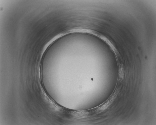 X0000084051150200702161500