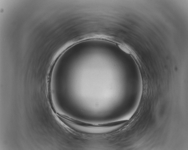 X0000084051151200702161500