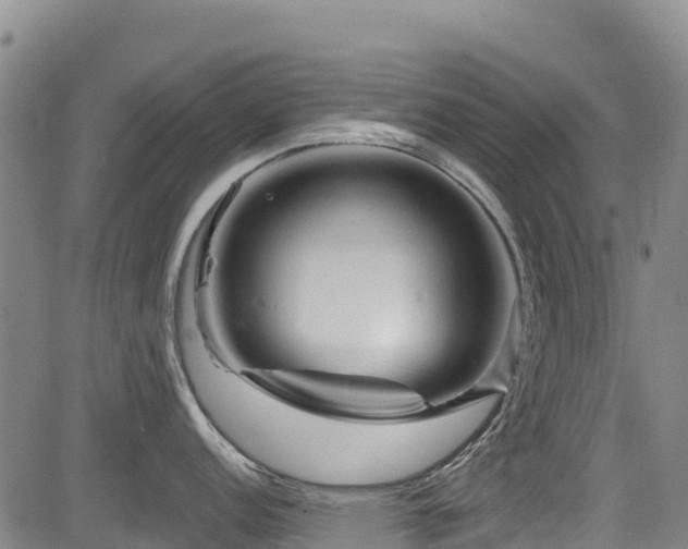 X0000084051152200702161500