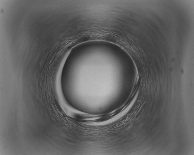 X0000084051153200702161500