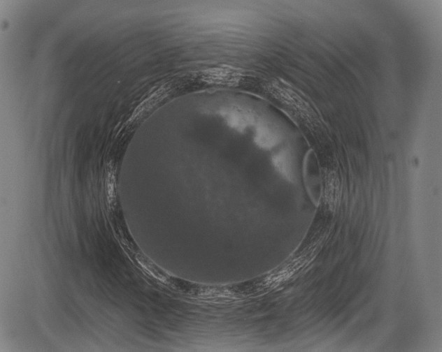 X0000084051154200702161500