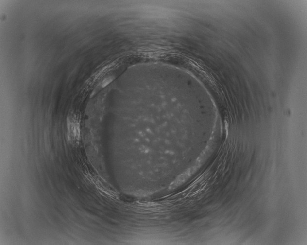 X0000084051155200702161500