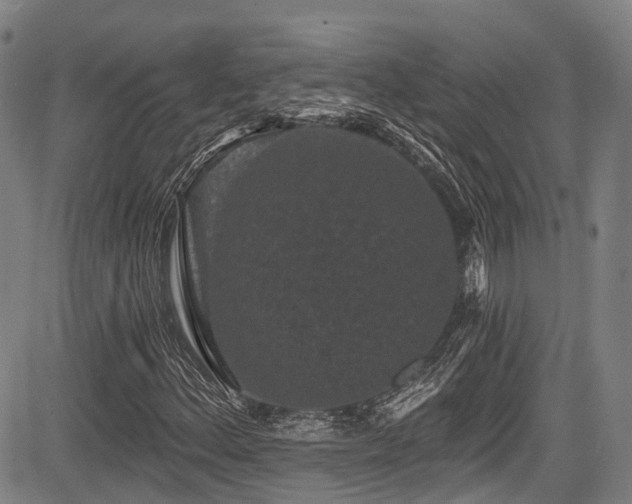 X0000084051156200702161500