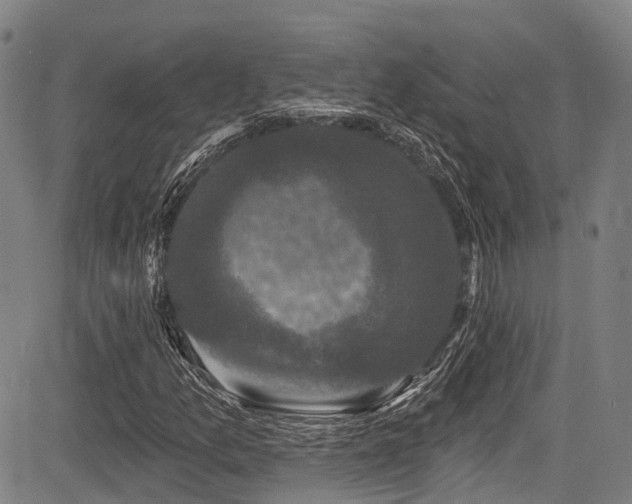 X0000084051157200702161500