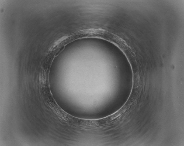 X0000084051158200702161500