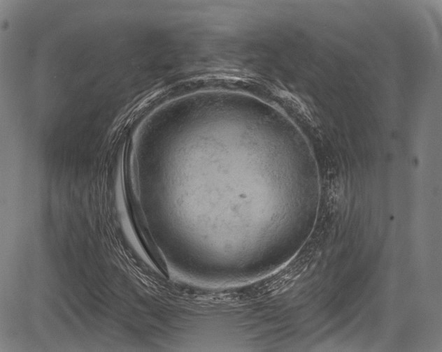 X0000084051159200702161500