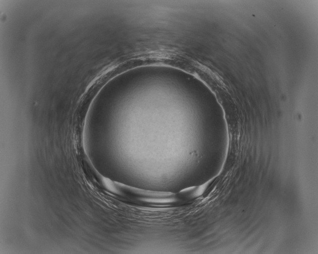 X0000084051160200702161500