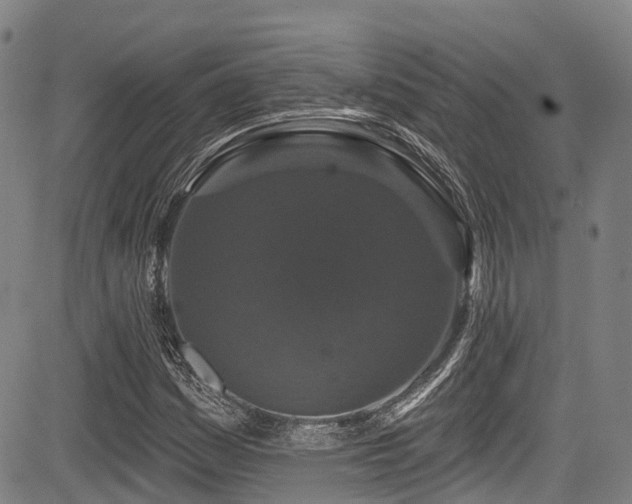 X0000084051161200702161500