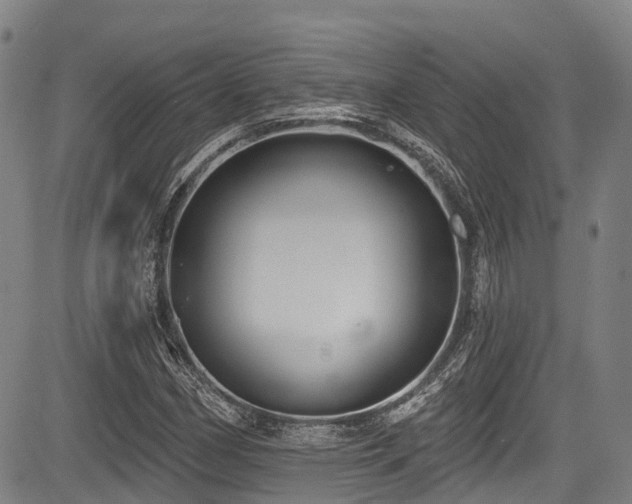 X0000084051162200702161459