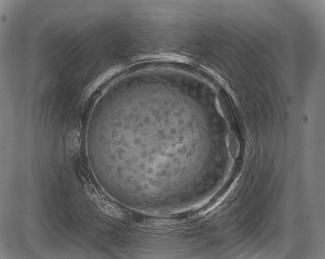 X0000084051163200702161459