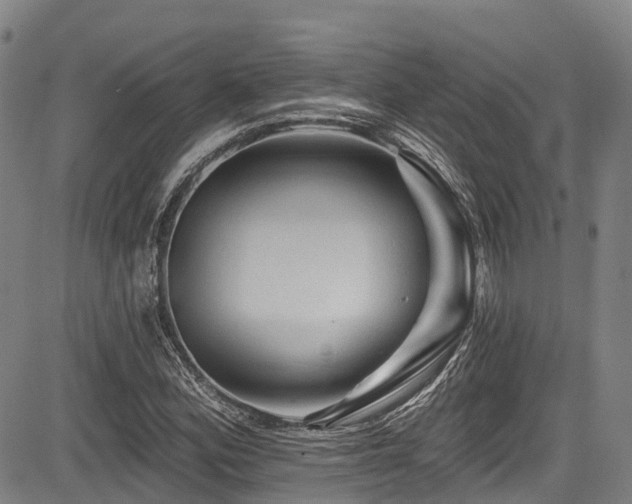 X0000084051164200702161459